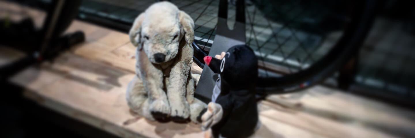 まどん　LAKEの靴売ったりフィッティングしたりするイヌ banner