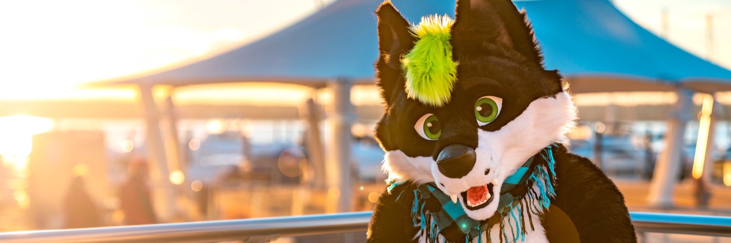 JerryWoof's profile banner image