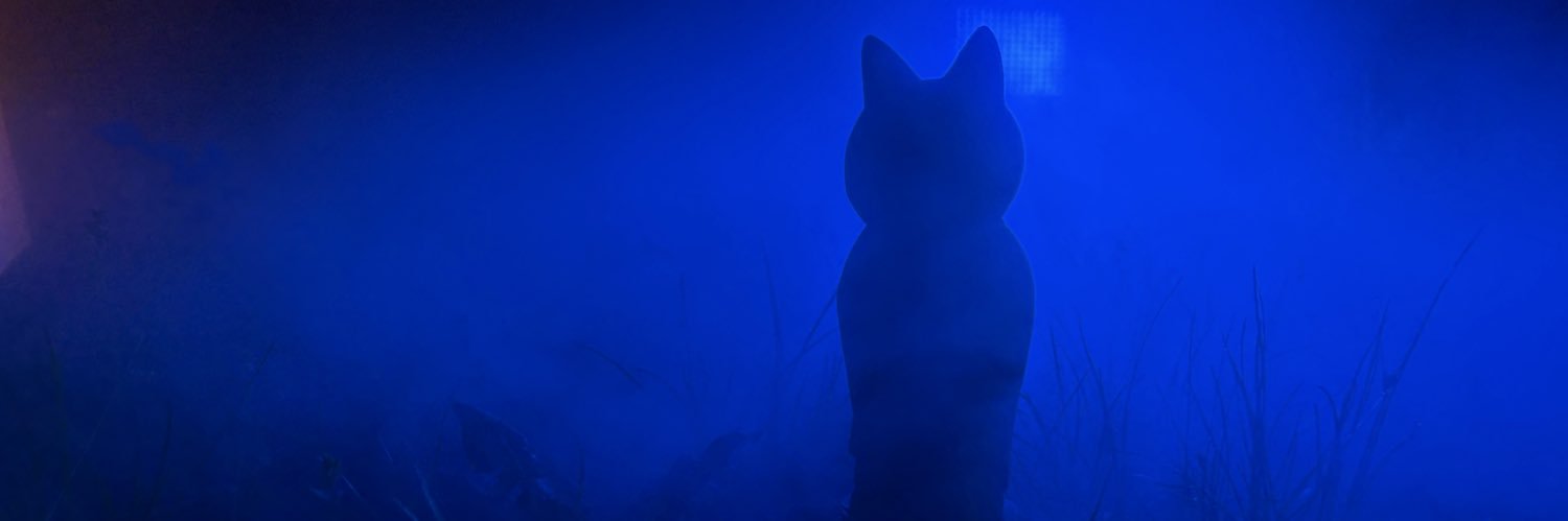 Raptores_W's profile banner image