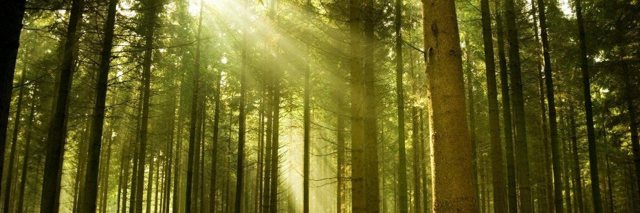 ADEMAN_Navarra banner