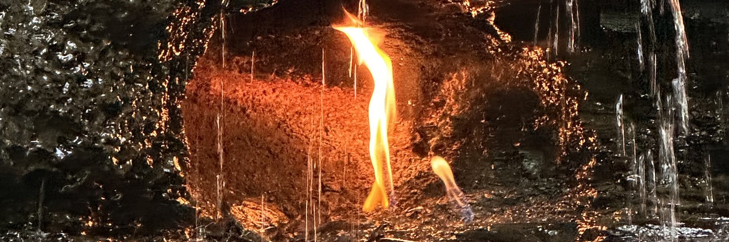 Alt. Armed Forces banner