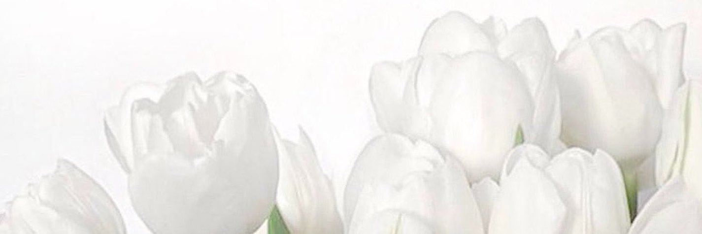 AF24______'s profile banner image