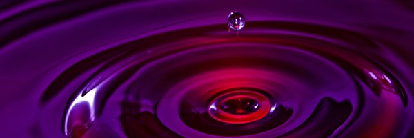 CSICbruselas Profile Banner