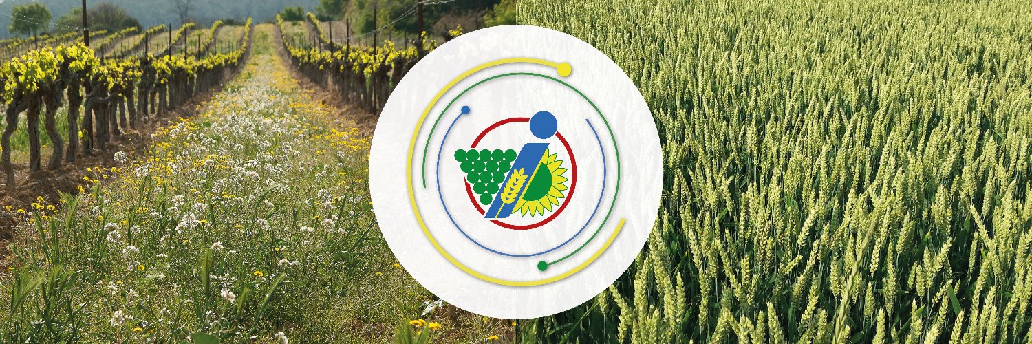 Groupe Isidore banner