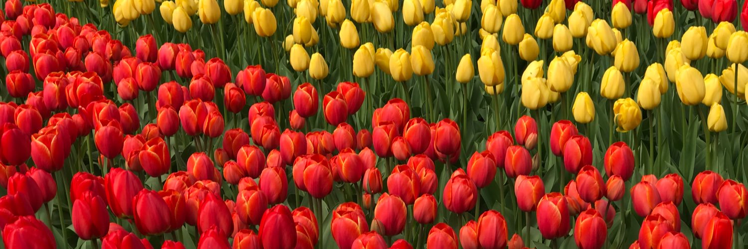 @SallyPairman banner