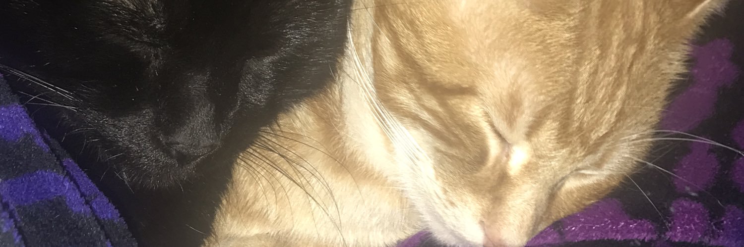 liebebree's profile banner image