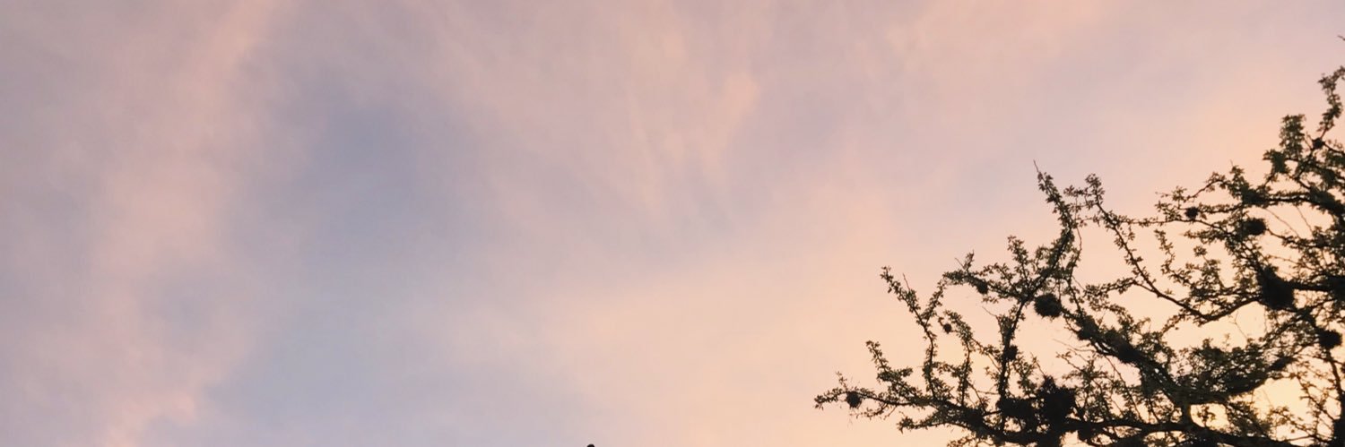 ConsMiranda's profile banner image