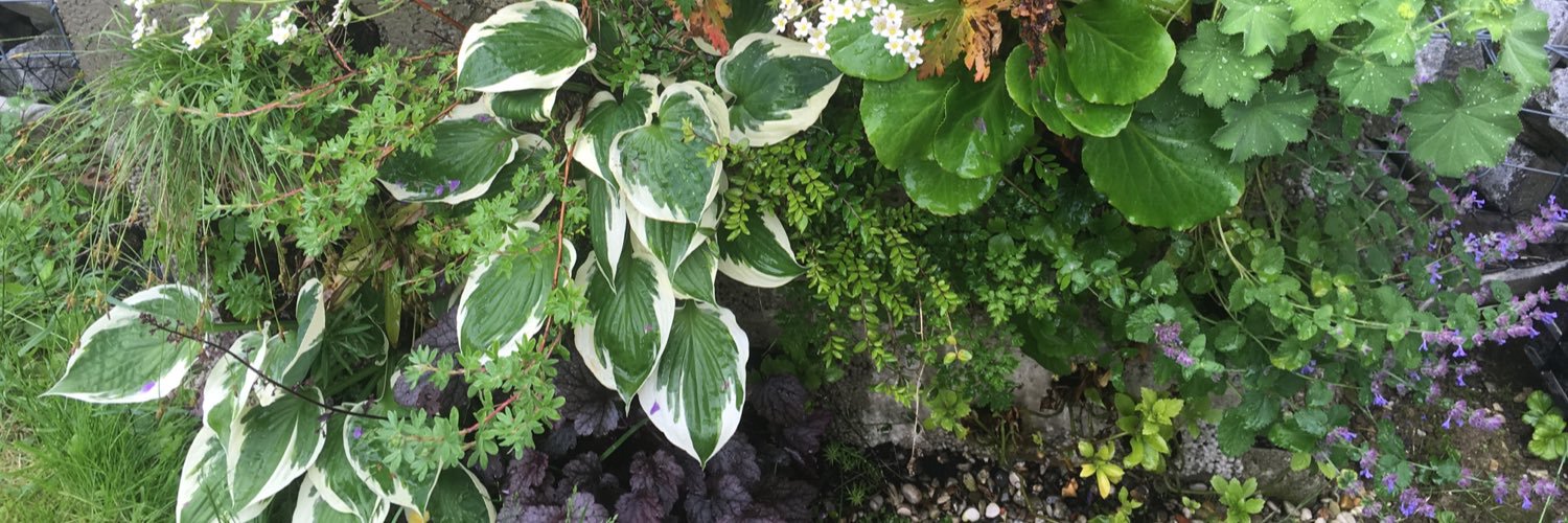 KramerGartenbau's profile banner image