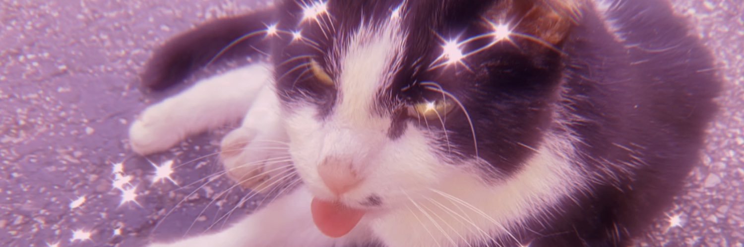beeeeeve's profile banner image