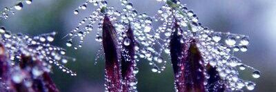 Maryam_H97's profile banner image