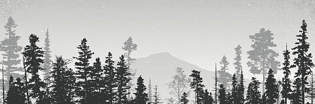 Azf_08's profile banner image