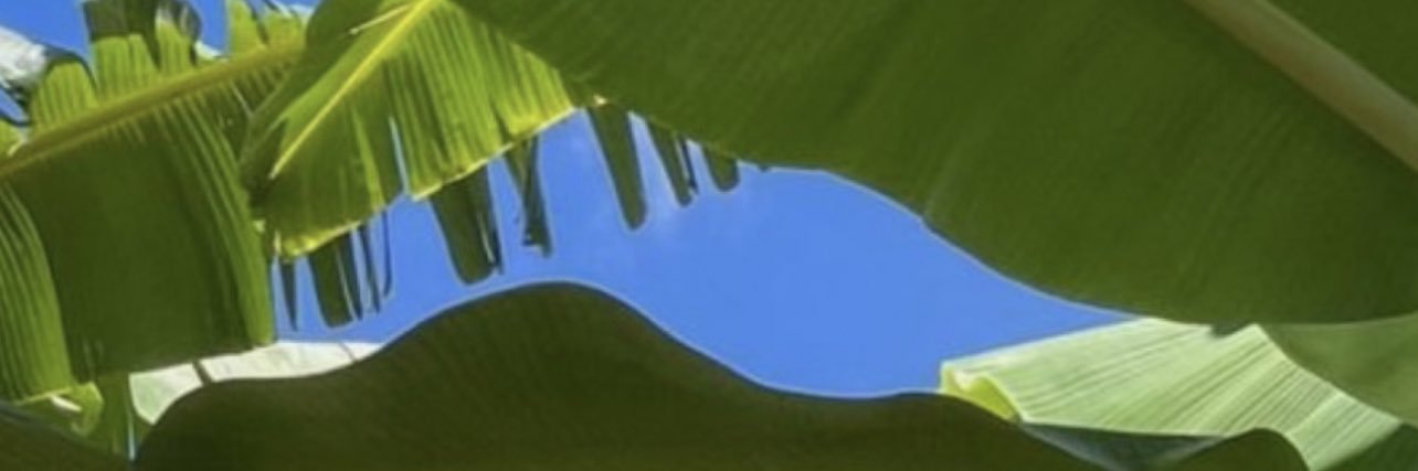 og__curtis's profile banner image