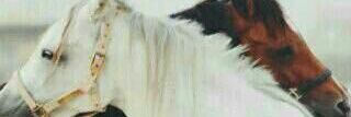 Smoo5o5's profile banner image