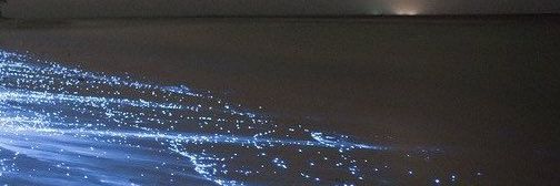 전구 banner