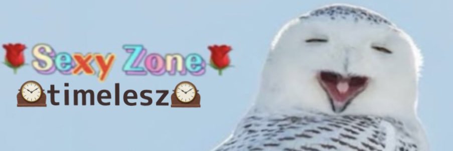 fksm1127's profile banner image