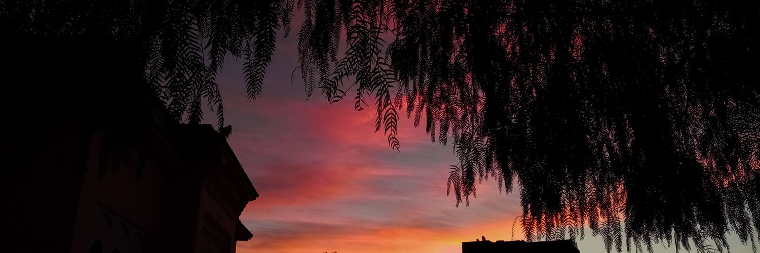 El Mahdi Lamrabt banner