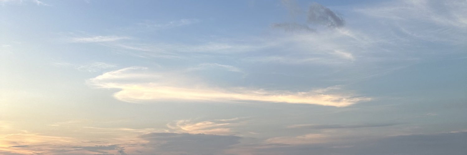 rrosetta_'s profile banner image