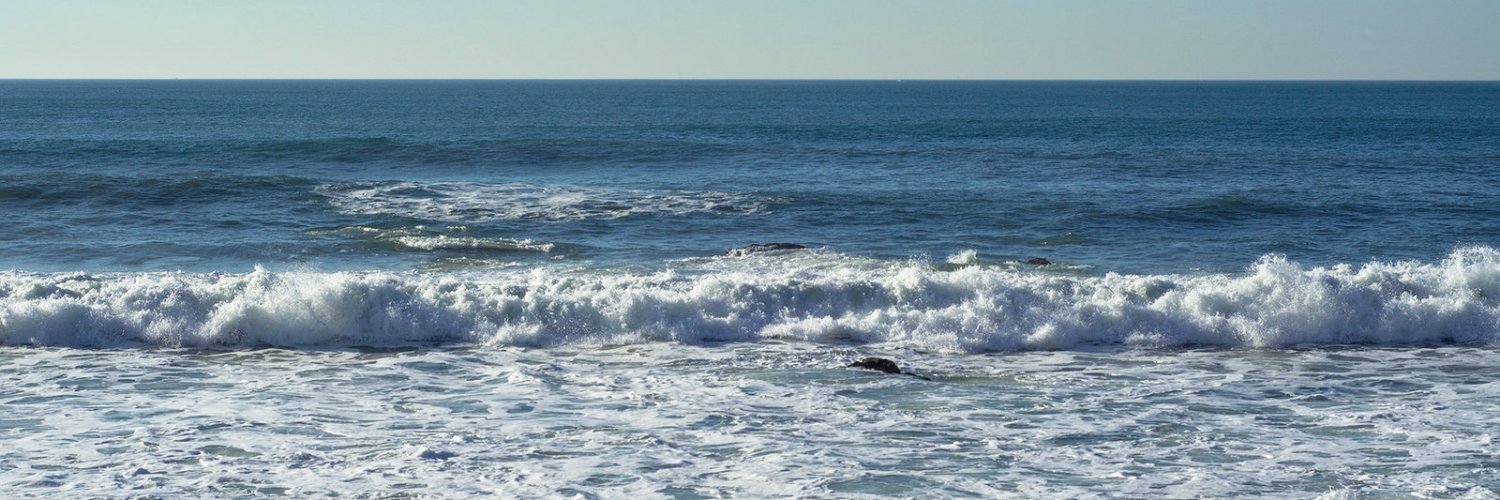 Danielle de Jonge banner