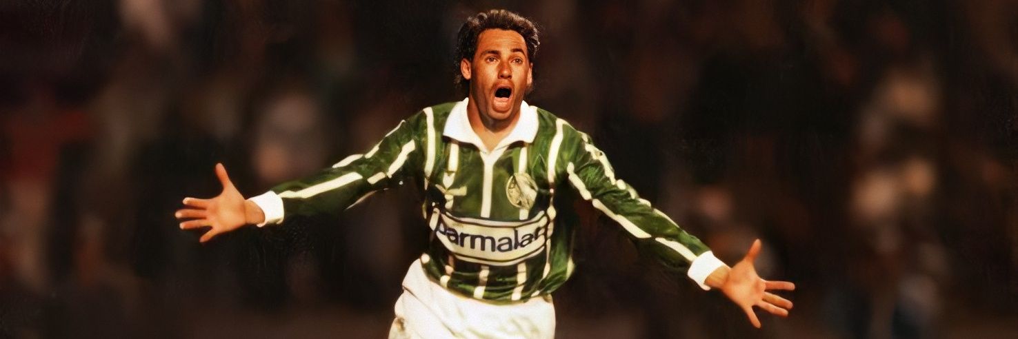 brunoporcoloco's profile banner image