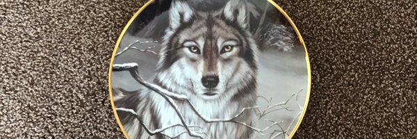 Elisabe85994531 Profile Banner