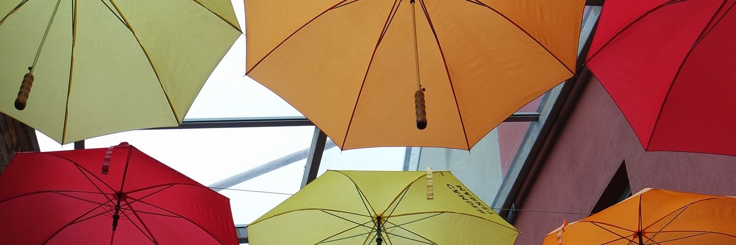 The Ordinary Poet banner