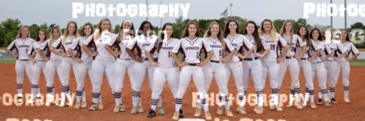 TSHS Softball banner