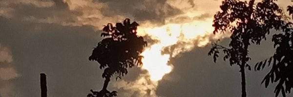 ali_muntasor Profile Banner