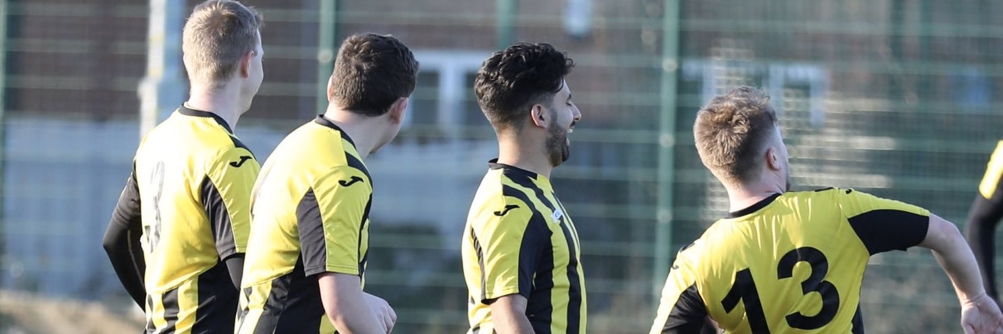 Debden Park FC banner