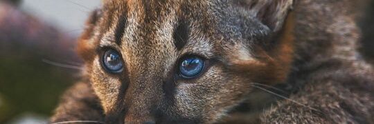 kuudajon's profile banner image