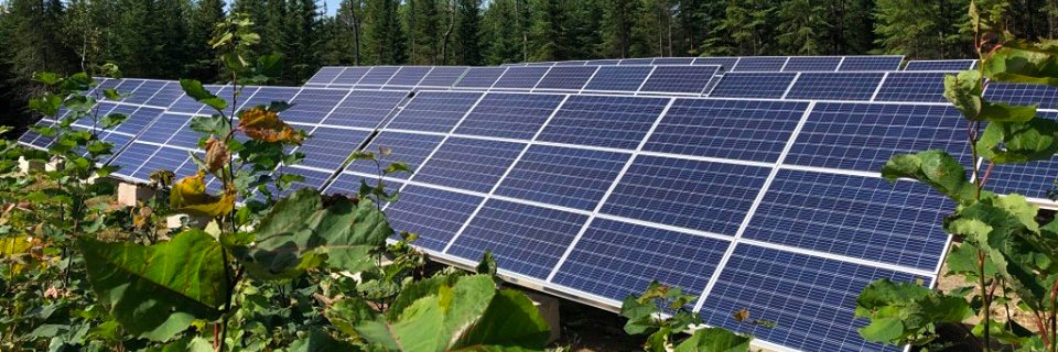 evolvegreenca's profile banner image
