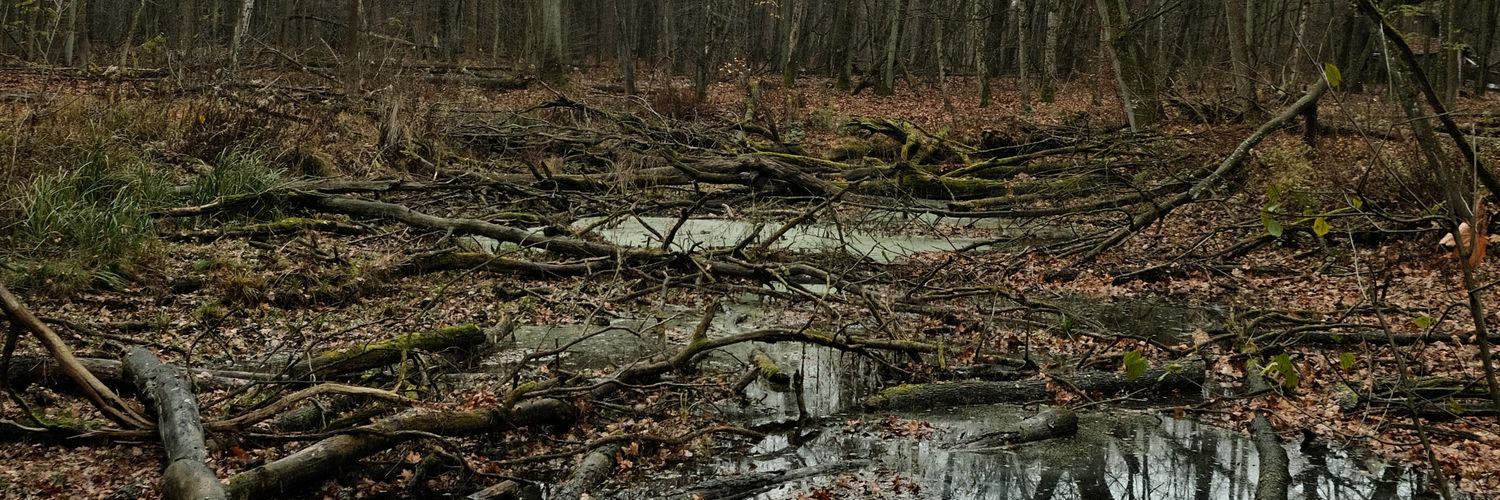 Patryk Strzałkowski banner