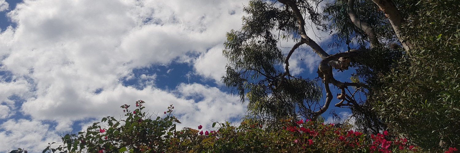 Ana María López banner