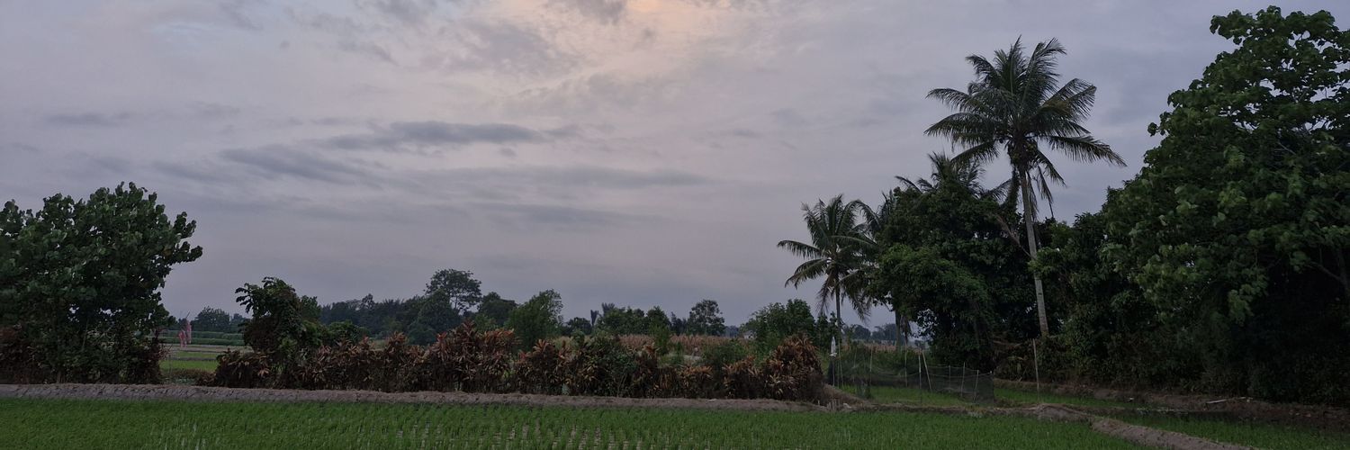 sihitedon's profile banner image