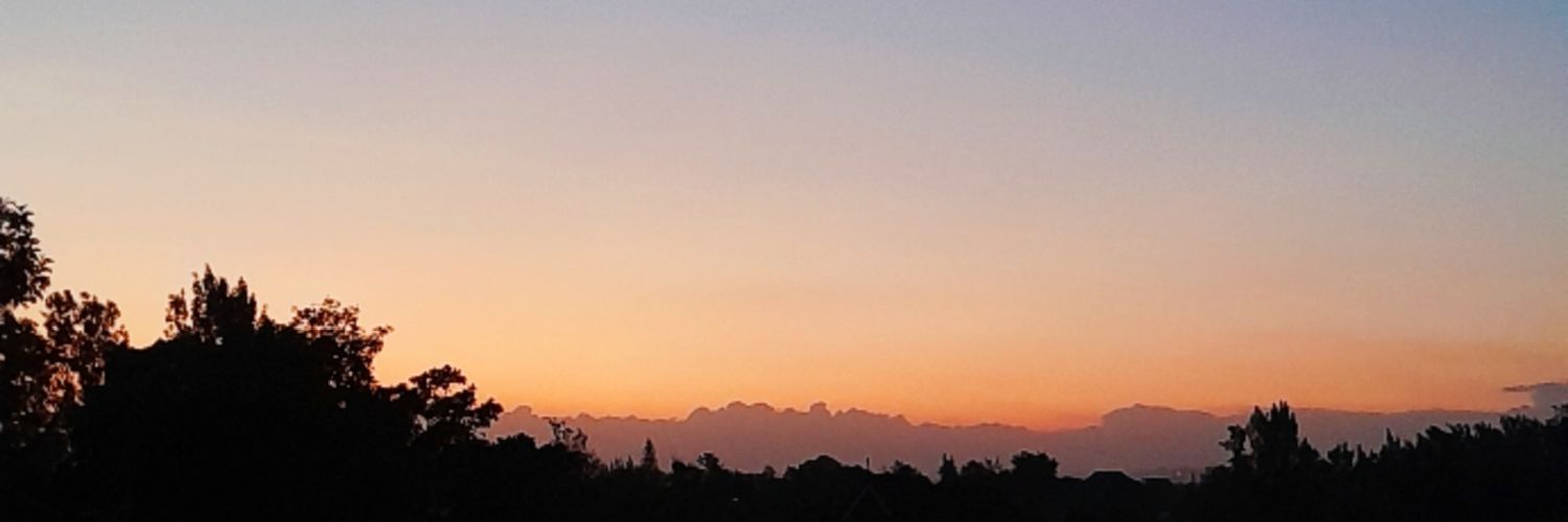gabriellachieng's profile banner image