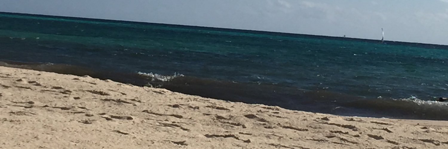 annierosas's profile banner image