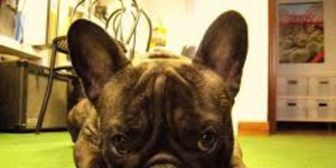 MeeryR15's profile banner image