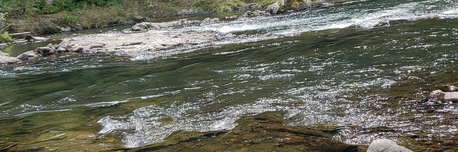 イラックマ【彷徨える鮎釣り師】 banner