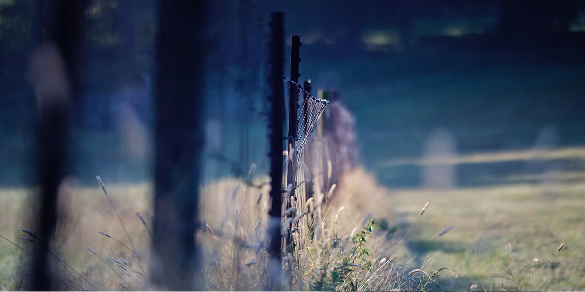 cat_nkj's profile banner image
