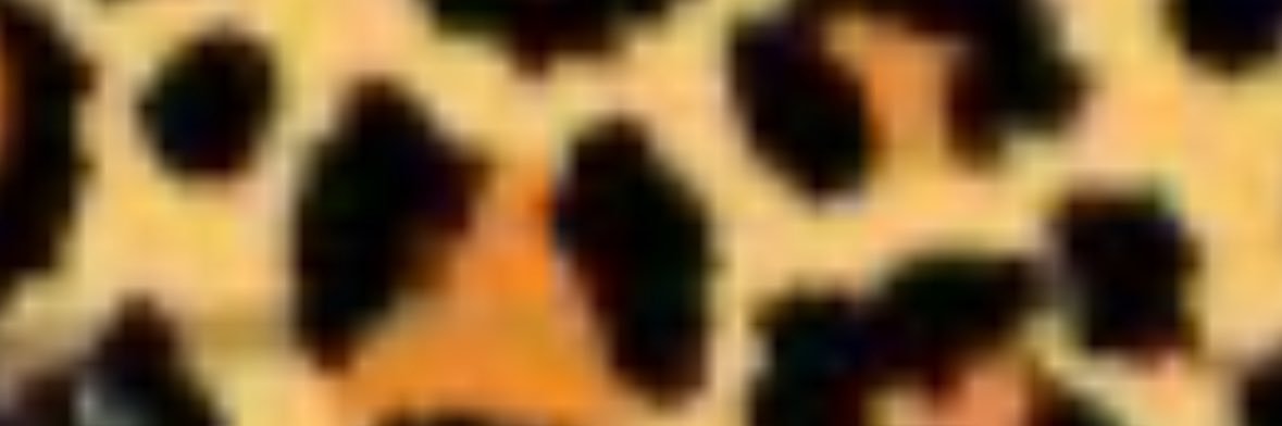 Benjamin Bitcoin banner