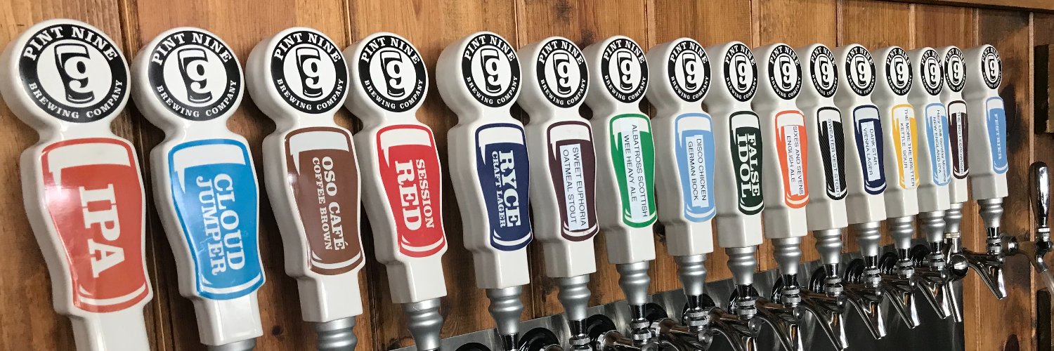 Pint Nine Brewing Co banner