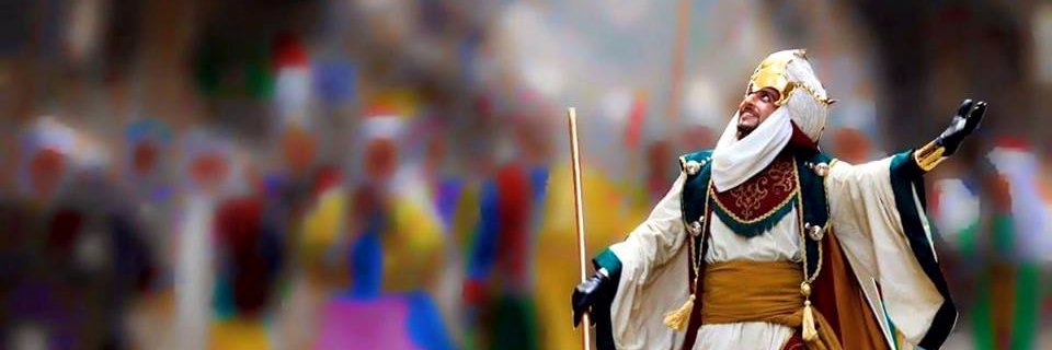 Ditrevi banner