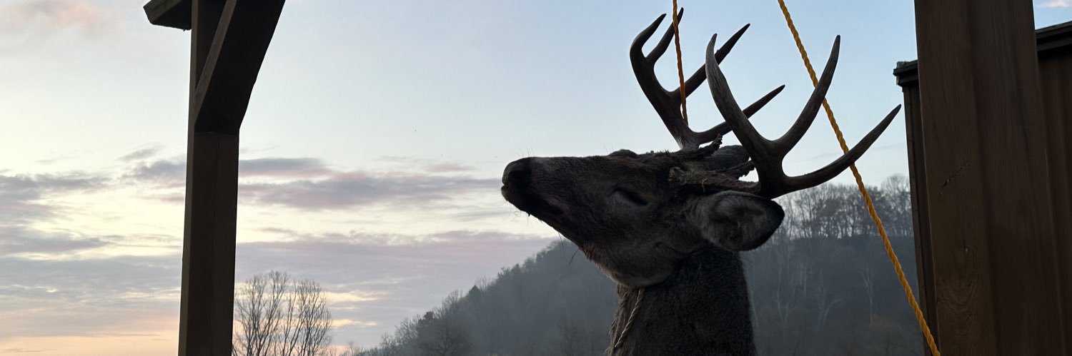 X Marks the Spot 🦌🏹's banner