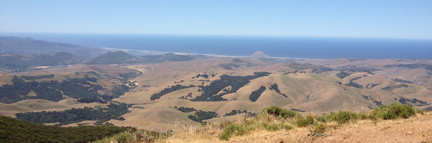 Morgan Philbin banner