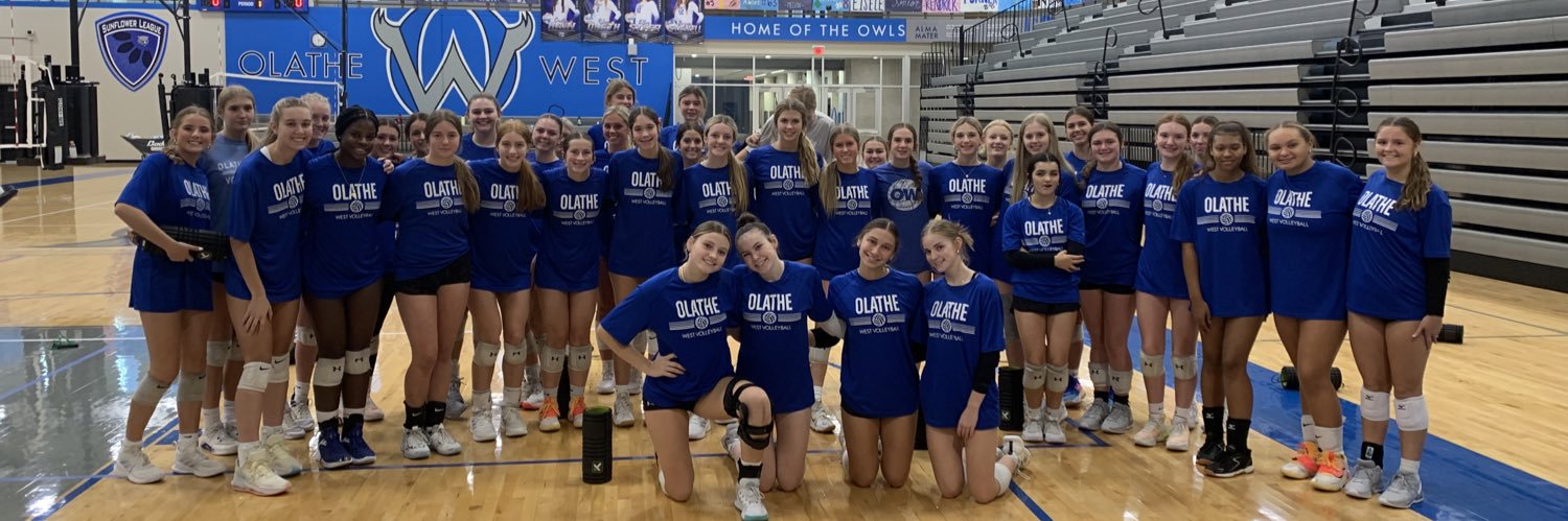 Owls Volleyball's banner