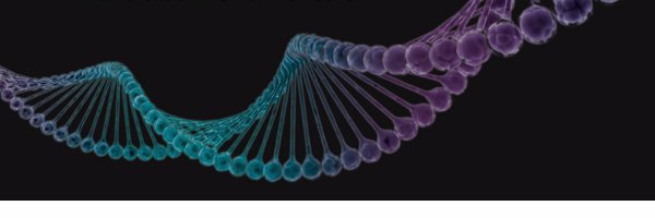 2bPrecise Profile Banner