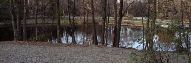 Coleen Weiss-Magasic banner