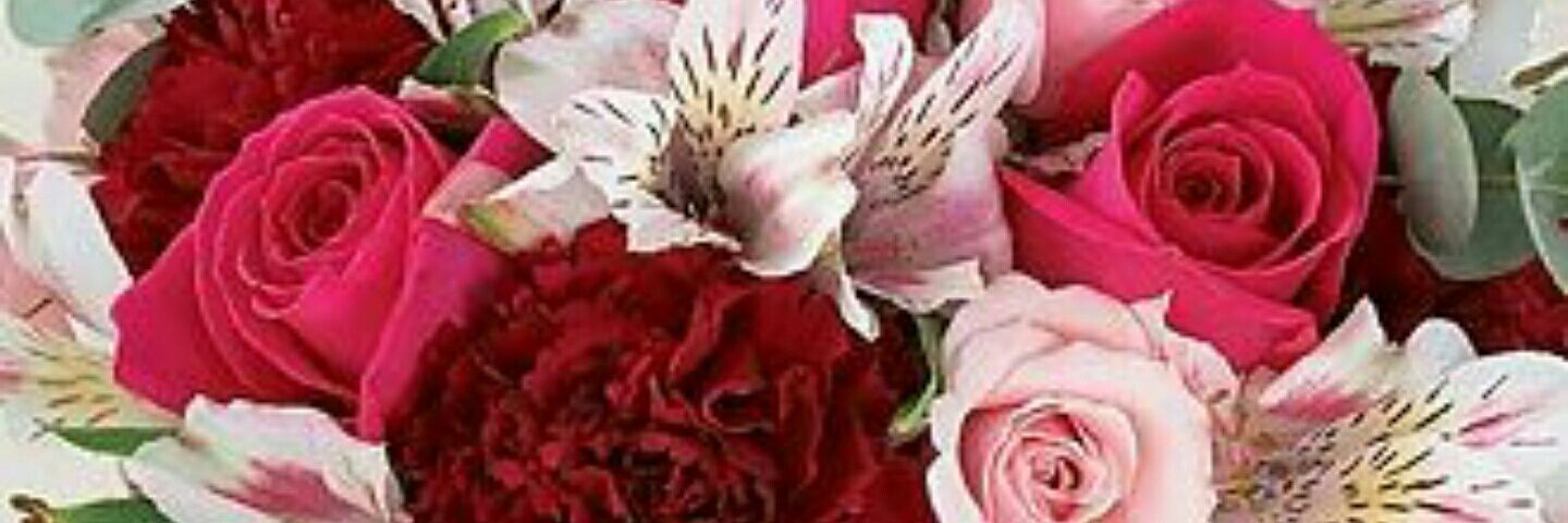 أإآلـشامـخهّٰ 🌺🇸🇦 banner