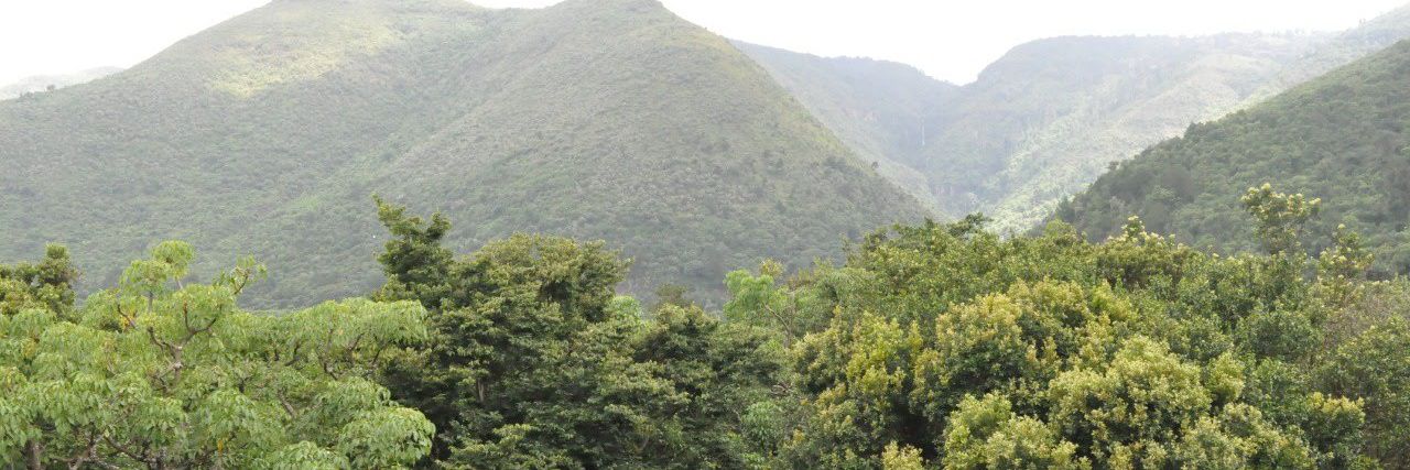 mochamaruth's profile banner image