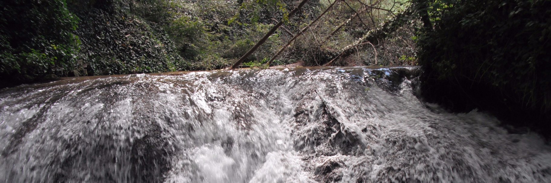 Carmen López Pisón banner