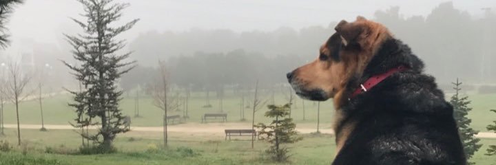 danirules95's profile banner image